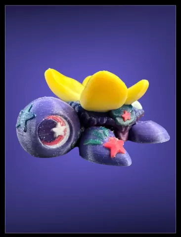 Fairy Turtle