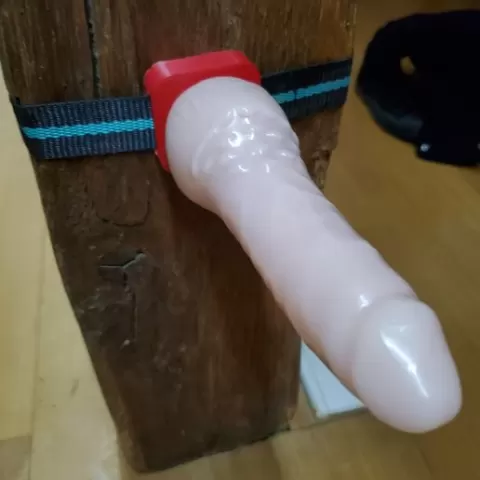 Dildo holder