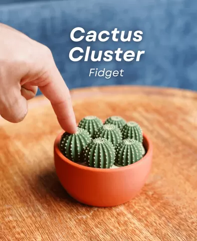 Cactus Cluster