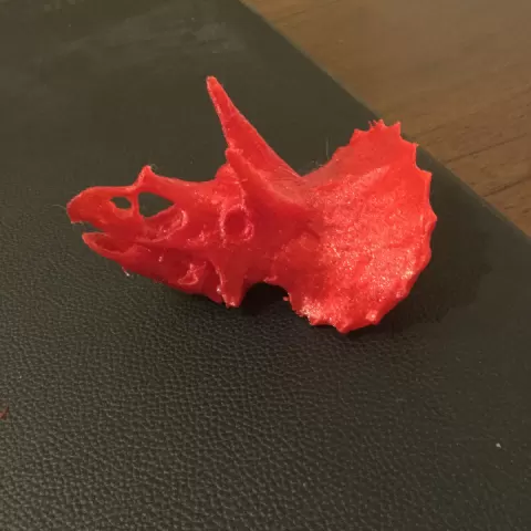 Triceratops Skull by PrinterPersons
