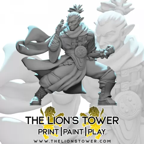 Male RPG Monk - Human, Elf, Half Orc, Tiefling - 32mm miniature by The Lion's Tower Adventurers Guild