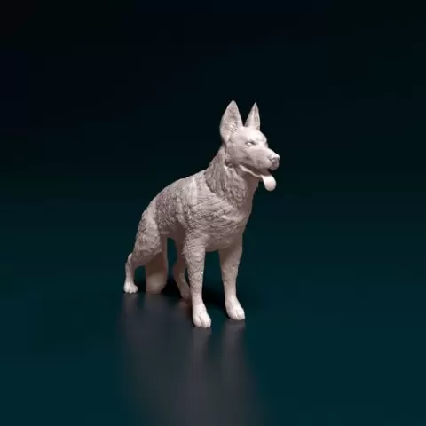 German shepherd