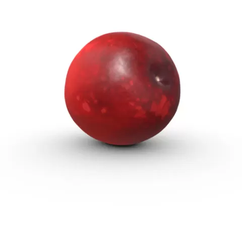 Cranberry