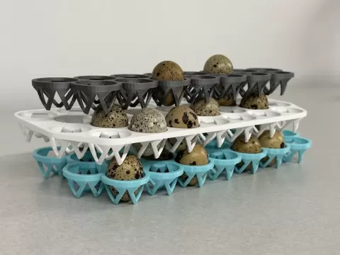 STACKABLE COTURNIX QUAIL EGG TRAY (LARGE)