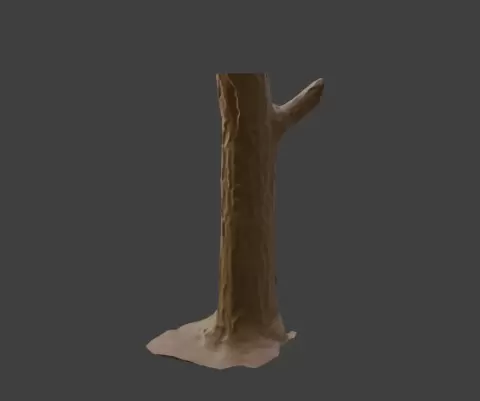 Hidey Stump