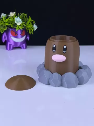 Diglett Container
