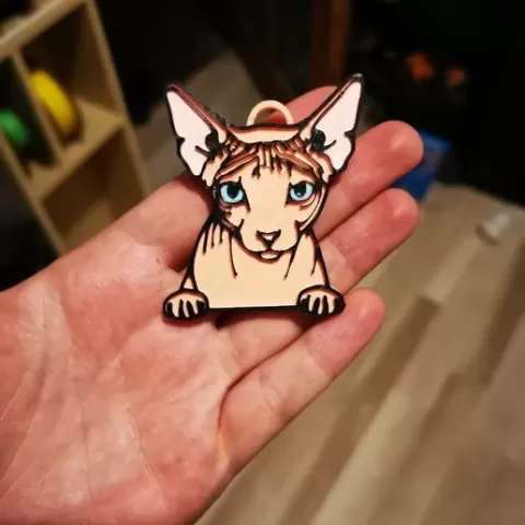 Sphynx cat keychain and a magnet