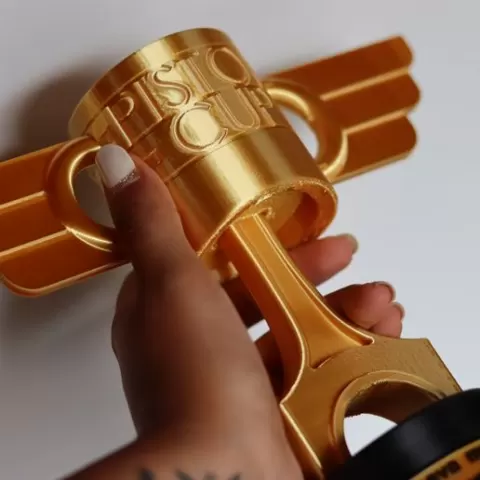 Piston Cup Piston Cup