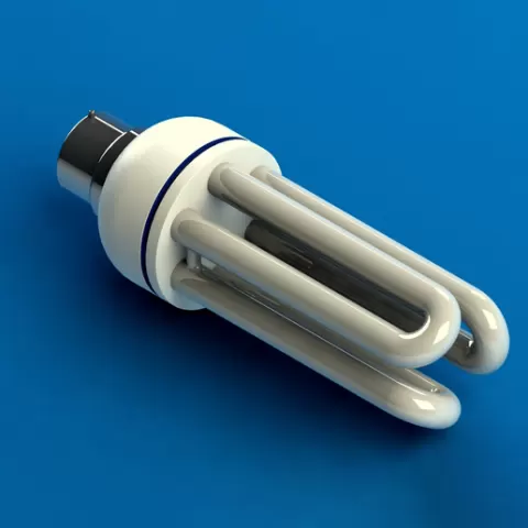 Light Bulb