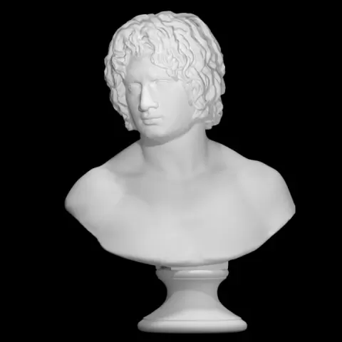 Bust of a Young Man, possibly Arminius Puskin at The Faculty of Classics, Cambridge by Museum of Classical Archaeology, Cambridge