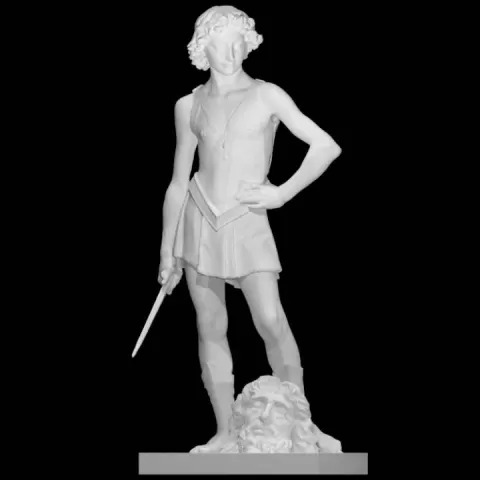 David with the head of Goliath by Victoria and Albert Museum, London