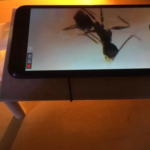 DIY Microscope