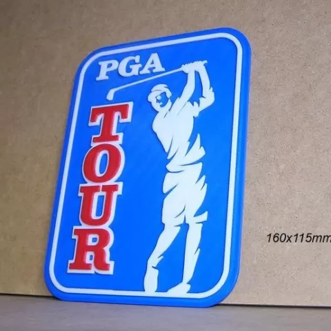 Golf, PGA, Tour, ball, grip, club, tournament, grass, club, swing, birdie, hole, caddie, tie, handicap, handicap