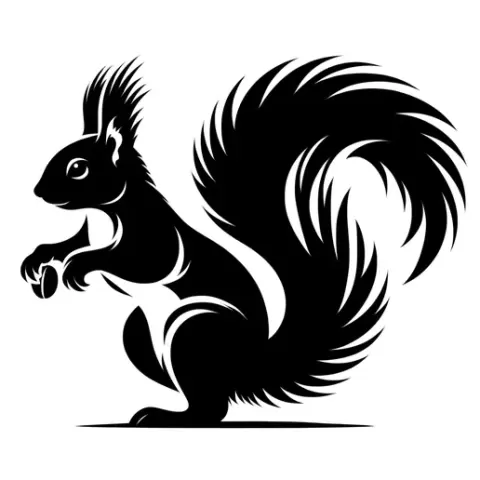 Wall Art squirrel