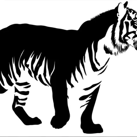 Wall Art tiger