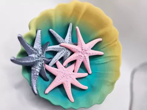 Sea Star - Star Fish