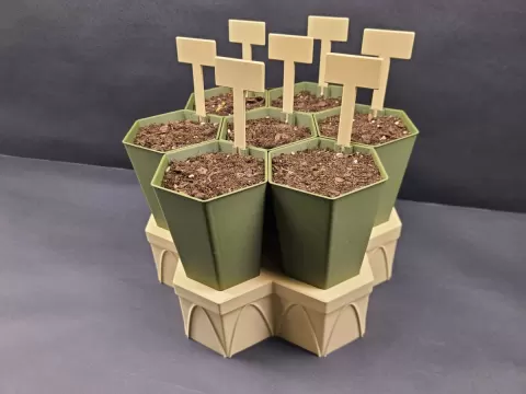 Hexagonal Seed Starter