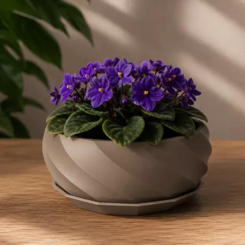 Printed Violet Pot