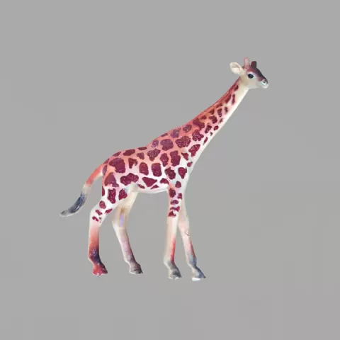 giraffe by mirko donzelli