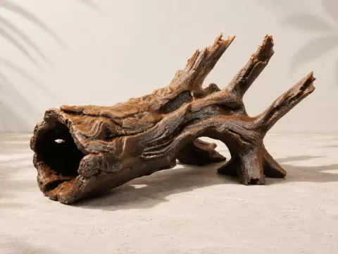 Hollow Driftwood Hide Tunnel