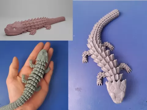 Articulated Armadillo Lizard