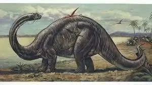 Brontosaurus