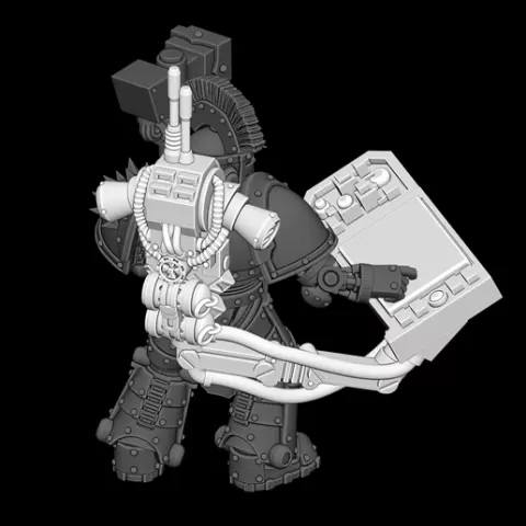 Control pad for siege master