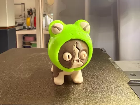 toad Cat, frog cat