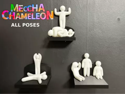 Meccha Chameleon All Poses
