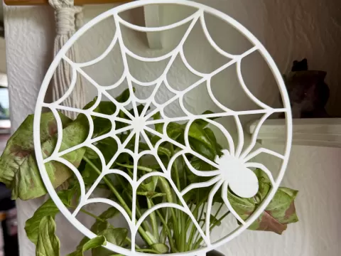Spider in Web Trellis