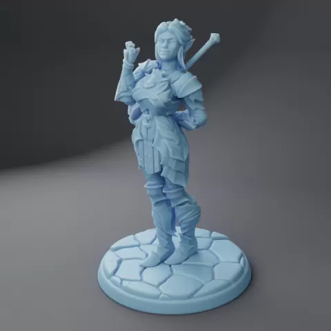 Mindy the Drow Paladin ( Female Drow Paladin / Elf Warrior / Fighter with Mace / Nightwarden / BG3 ) by Twin Goddess Miniatures