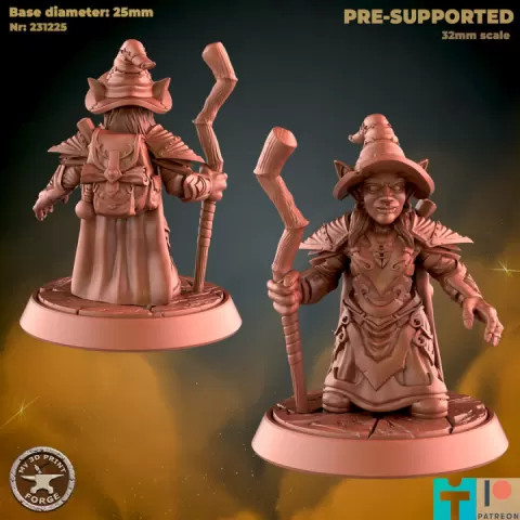 Goblin Little Witch by My3DPrintForge