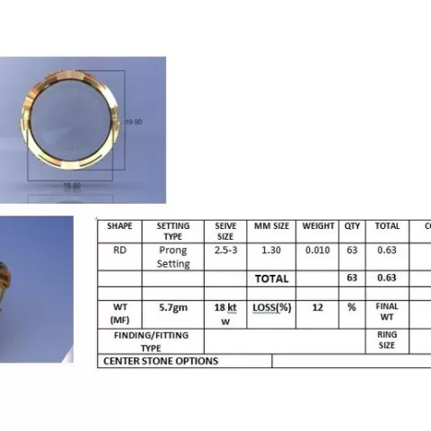 ring 1