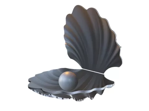 Open Seashell with Pearl - MeAmelia