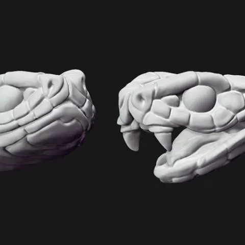 Snake Heads