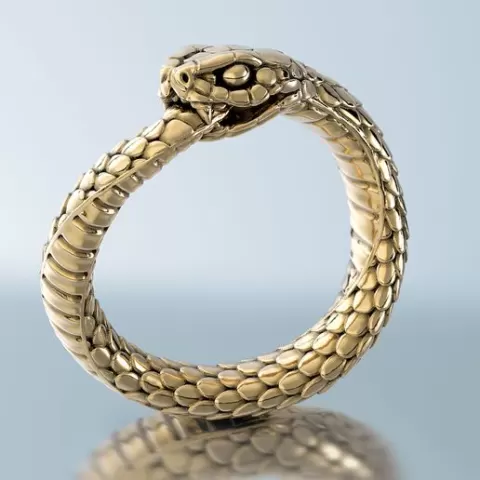 Ring Snake Ouroboros