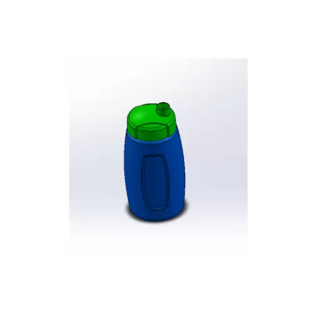 Bottle