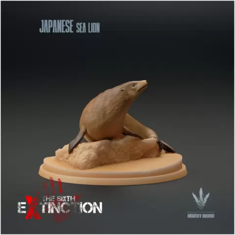 Japanese Sea Lion : Zalophus japonicus by Miniature Museum