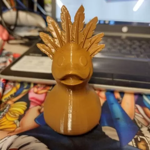 Indian Duck
