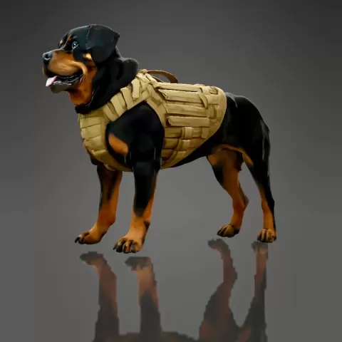 Tactical Rottweiler - Foxtrot007