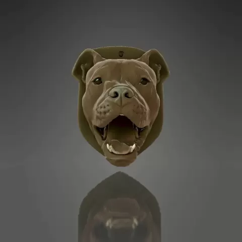 Pitbull head key hook - Foxtrot007
