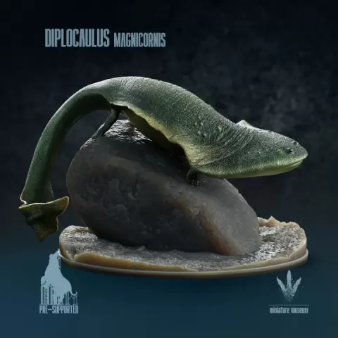 Diplocaulus magnicornis: The Boomerang-headed Amphibian by Miniature Museum