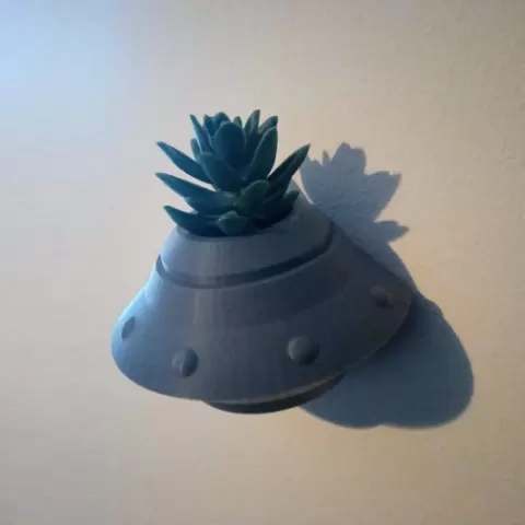 Crashed UFO Wall Planter UAP / Bird feeder