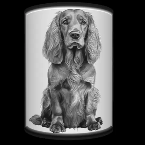 DOGGO LIGHT BOX - English cocker spaniel