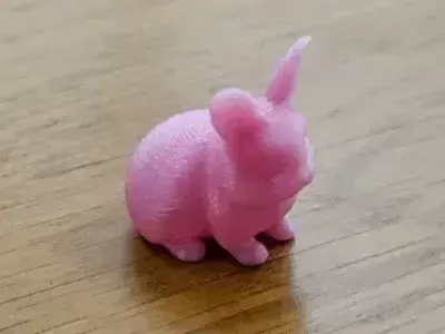 Cute Bunny Rabbit