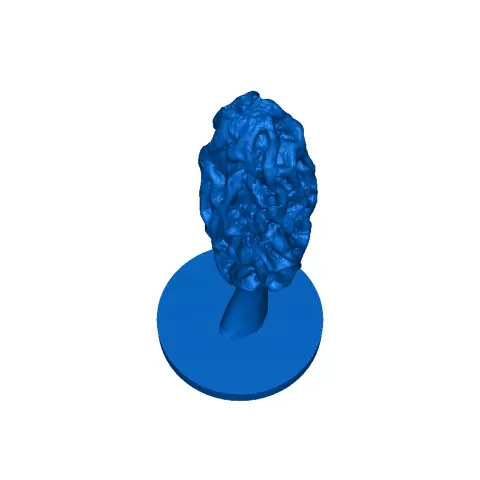morel4 - William Lybarger