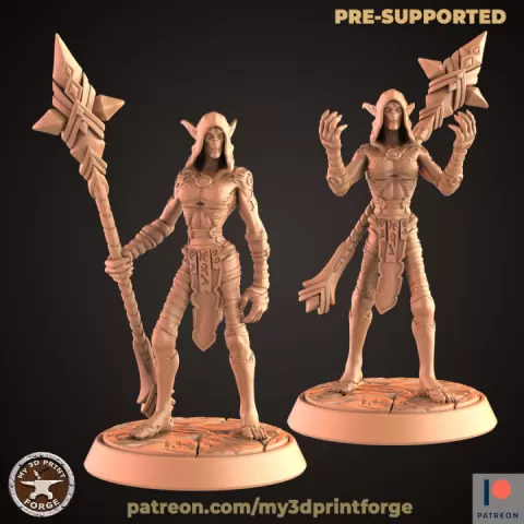 Nightfallen Elf First Arcanist Two Models by My3DPrintForge