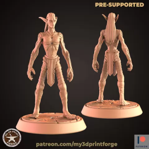 Nightfallen Elf Female by My3DPrintForge