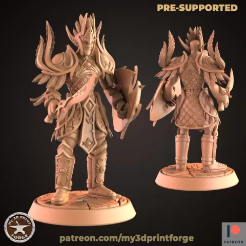 Nightborne Elf Warrior with Shield by My3DPrintForge