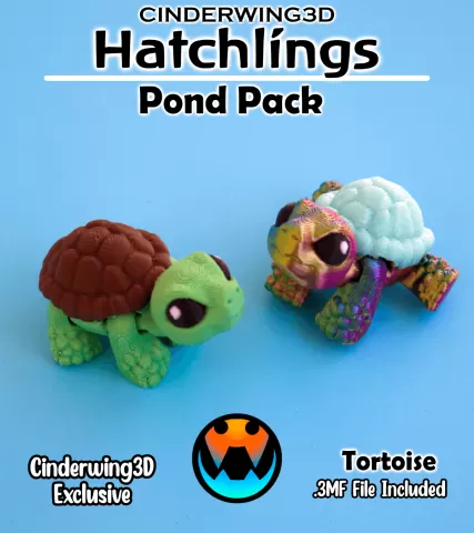 Tortoise - Hatchling